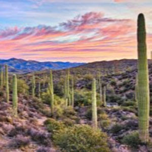 Meet your Posher, Alaina